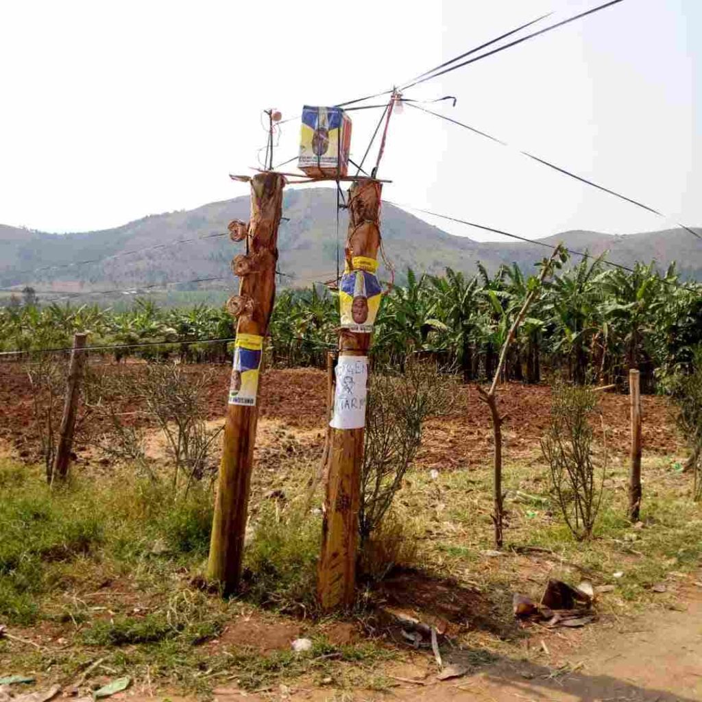 Banana stems erected as electric poles in Murambi trading centre in katungamo, Rushenyi in Ntungamo District.