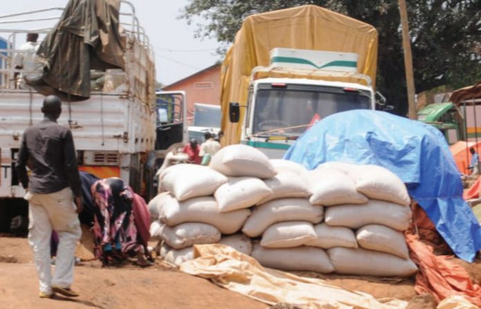 Maize being loaded on trucks. Kenya has lifted ban on Uganda maize imports with tough conditions and terms.