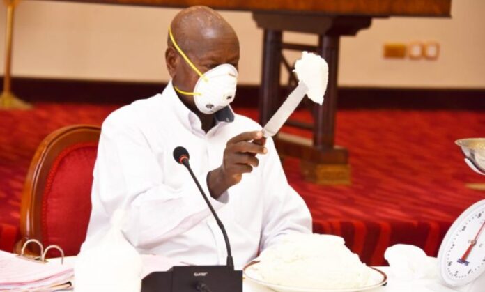 Here's How Museveni Will Spend His Shs402bn Budget Share of the National Cake