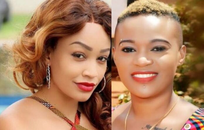 I'M SORRY FOR ATTACKING YOU WHEN YOU LOST YOUR HUSBAND: Don Zella Begs Zari to Forgive Her