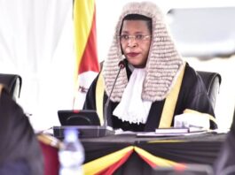IN THE HOT SEAT! Museveni Minister Summoned for Grilling for 'Passing Eyes Through' Speaker Anita Among's Parliament