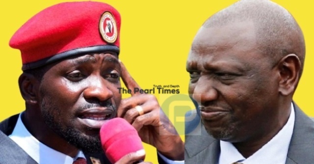 Bobi Wine Kenyans presidential term limits William Ruto UDA MP Farah Salah Yakub